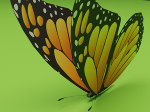 butterfly 3D 모델