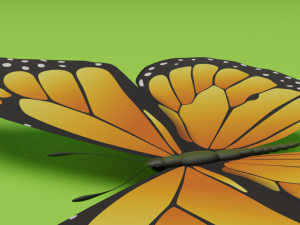 butterfly 3D 모델