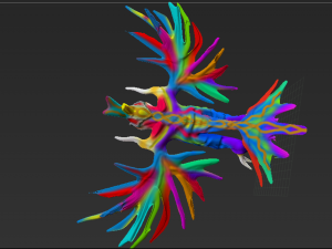 creature model Modèle 3D