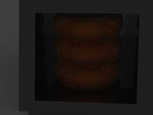 donut 3D 模型