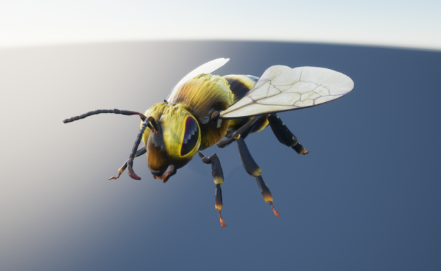 bee Model 3D .c4d .max .obj .3ds .fbx .stl .blend 