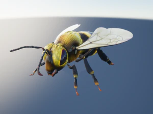 бджола 3D Модель