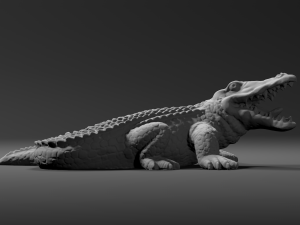 alligator - crocodile Model do druku 3D