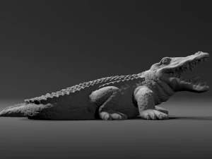 alligator - crocodile 3D Print Model