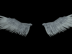 Angel Wings Add on - Rigged Model for character Rigs 3D Models