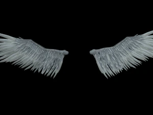 Complemento Angel Wings - Modelo Rigged para Rigs de personagens Modelo 3D