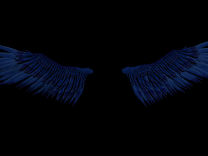 Angel Wings Add on - Rigged Model for character Rigs 3D Model
