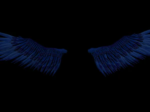Angel Wings Add on - Rigged Model for character Rigs 3D Model