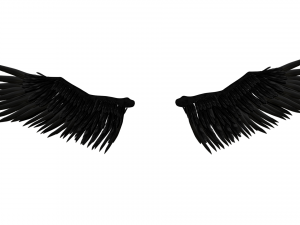 Angel Wings Add on - Rigged Model for character Rigs 3D Model