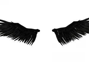 Angel Wings Add on - Rigged Model for character Rigs 3D Model