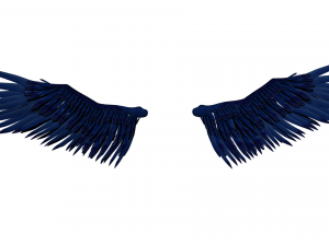 Angel Wings Add on - Rigged Model for character Rigs 3D Model