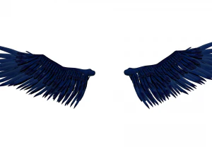 Angel Wings Add on - Rigged Model for character Rigs 3D Model