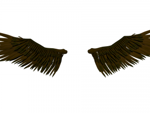 Angel Wings Add on - Rigged Model for character Rigs 3D Model