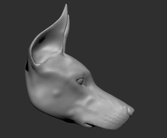 doberman head 3D Model .c4d .max .obj .3ds .fbx .stl .blend 