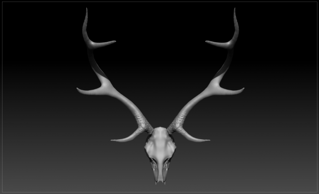deer scull 3D Model .c4d .max .obj .3ds .fbx .stl .blend 
