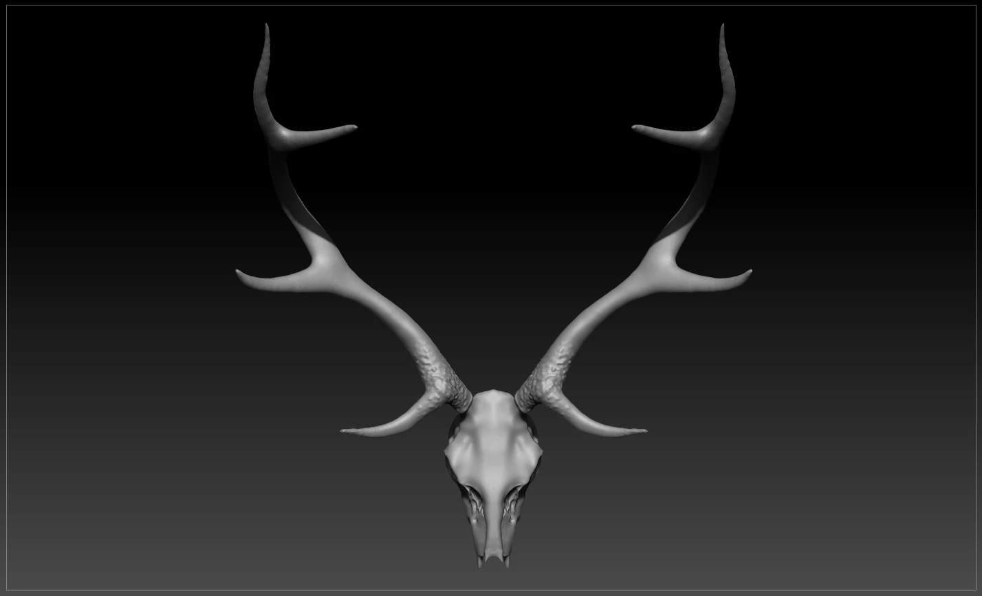 deer scull 3D Model .c4d .max .obj .3ds .fbx .stl .blend