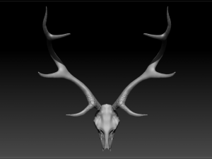 deer scull 3Dモデル