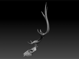 deer scull 3D Model