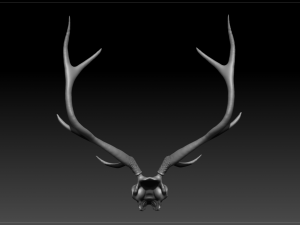 deer scull 3D Model