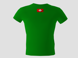low poly switzerland shirt green colour Modelo 3D