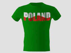 низкополигональная польша рубашка зеленого цвета 3D Модель