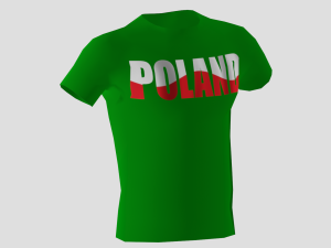 low poly poland shirt green colour 3D Модель