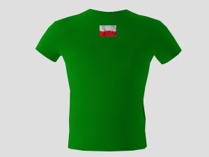 low poly poland shirt green colour 3D Модель