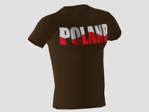 low poly poland shirt dark brown colour 3D Model
