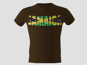 laag poly Jamaica shirt donkerbruine kleur 3D Model