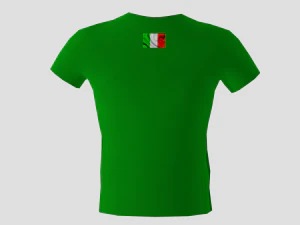 low poly italy shirt green colour 3D Model