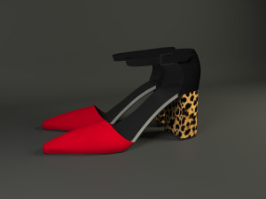 shoes Modèle 3D