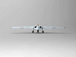 hortensia 229 Modelo 3D