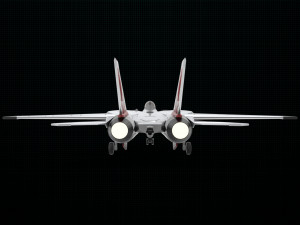 grumman f-14 tomcat 3D Model