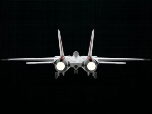 grumman f-14 kucing jantan Model 3D