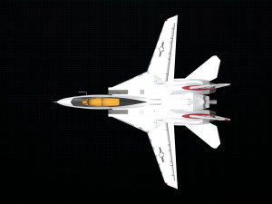 grumman f-14 tomcat 3D मॉडल