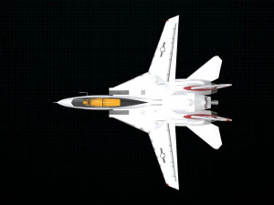 grumman f-14 tomcat 3D Model