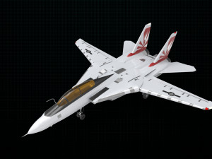 grumman f-14 tomcat 3D मॉडल