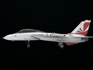 grumman f-14 tomcat 3D मॉडल