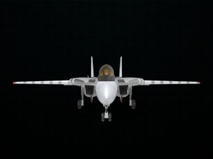 grumman f-14 tomcat 3D मॉडल