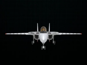 grumman f-14 tomcat 3D Model