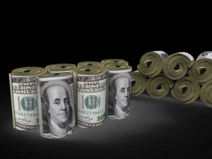 dollar rolled 3D Model