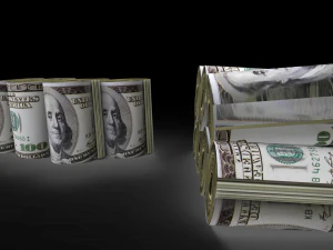dollar rolled 3D Model