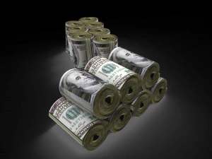 dollar rolled 3D Model