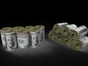 dollar rolled 3D Model