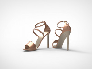 High-heeled shoe 3Dモデル