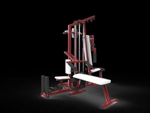 Gym tools sport 3D Model