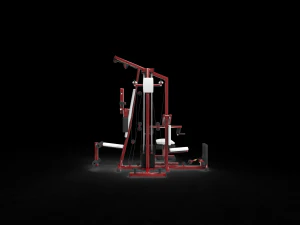 Gym tools sport 3D Model