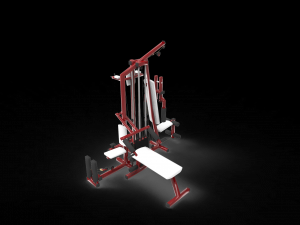 Gym tools sport 3D 模型