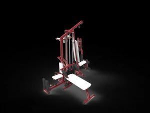 Gym tools sport 3D Model