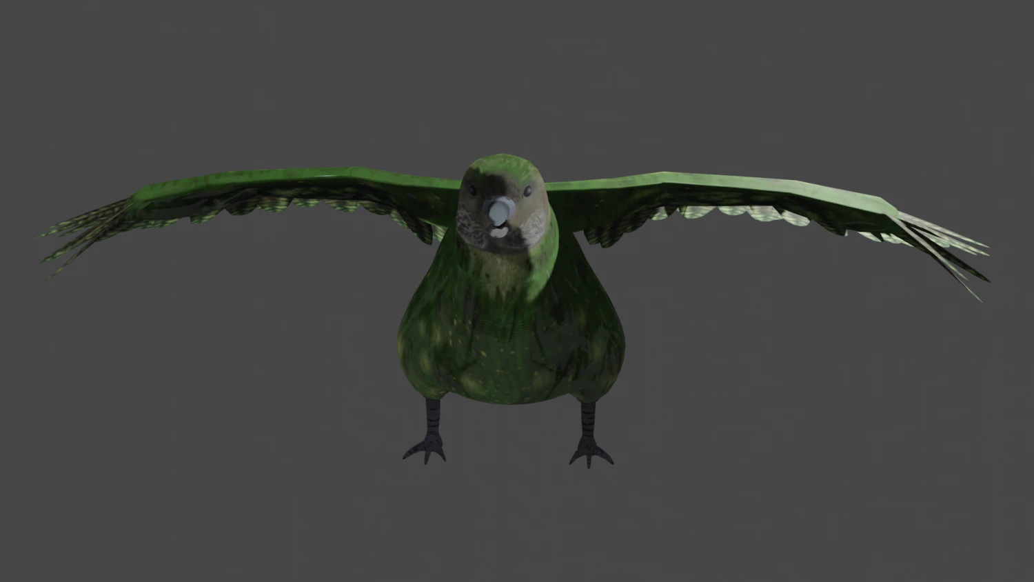 kakapo Modello 3D .c4d .max .obj .3ds .fbx .stl .blend 